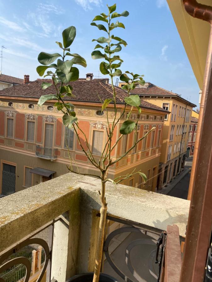 Loft Manzoni 37 Apartment เกรโมนา ภายนอก รูปภาพ